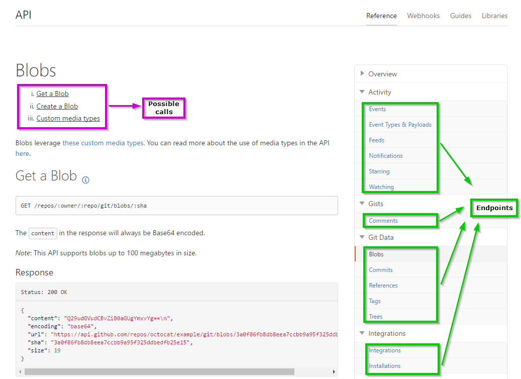 GitHub documentation page with possible calls and endpoints highlighted